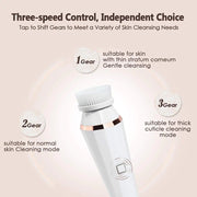 4 In 1 Facial Cleansing Brush