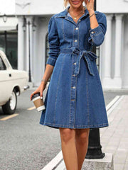 Button Down Long Sleeve Denim Dress - Angel's Dream